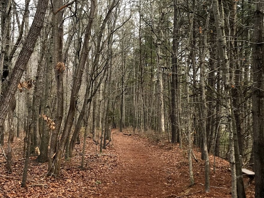 Holts Landing State Park