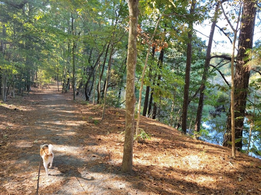 Holts Landing State Park