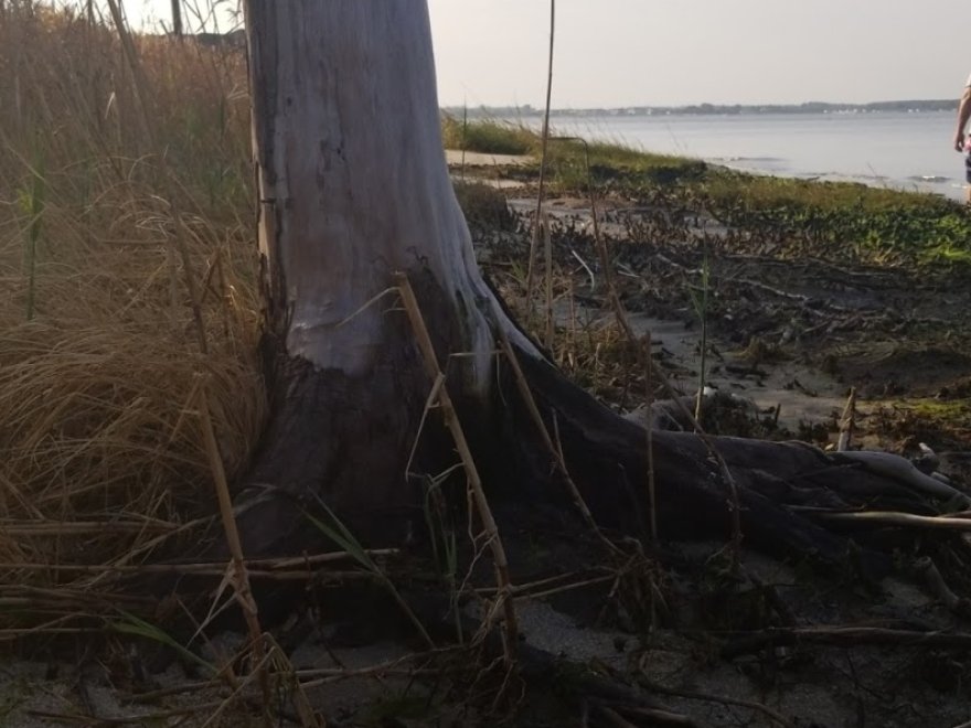 Holts Landing State Park