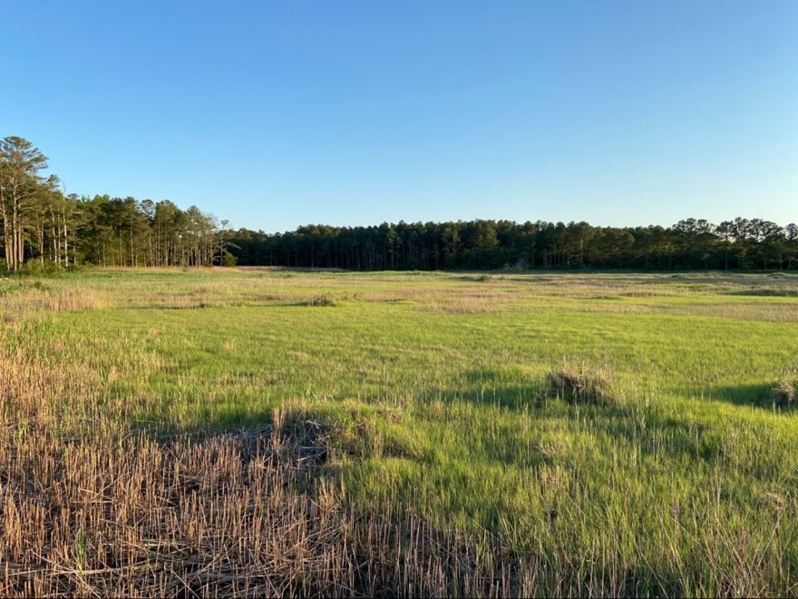 Holts Landing State Park