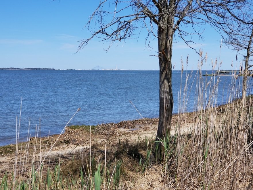 Holts Landing State Park