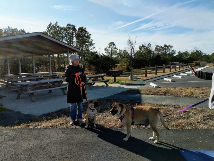 Holts Landing State Park