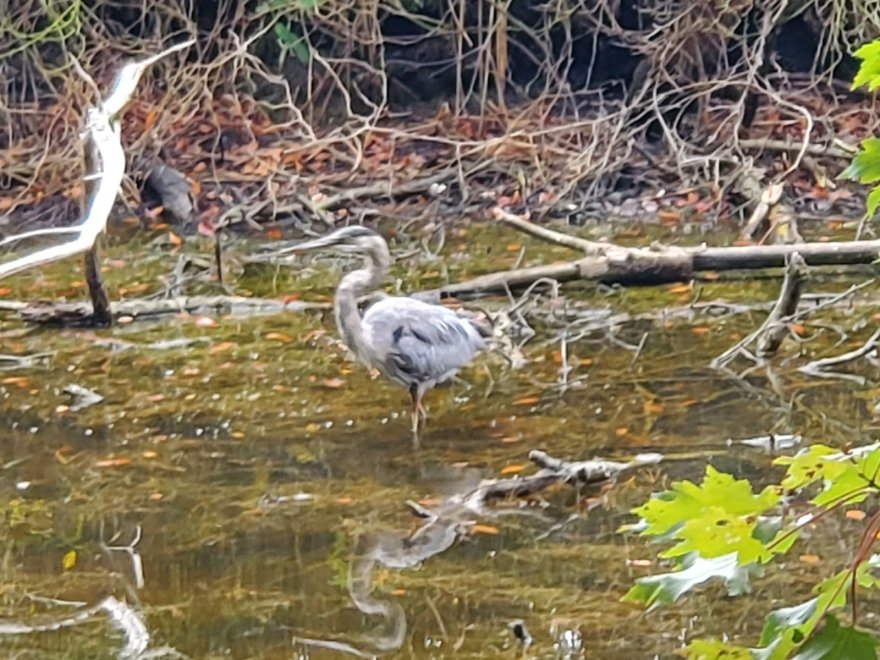 Holts Landing State Park