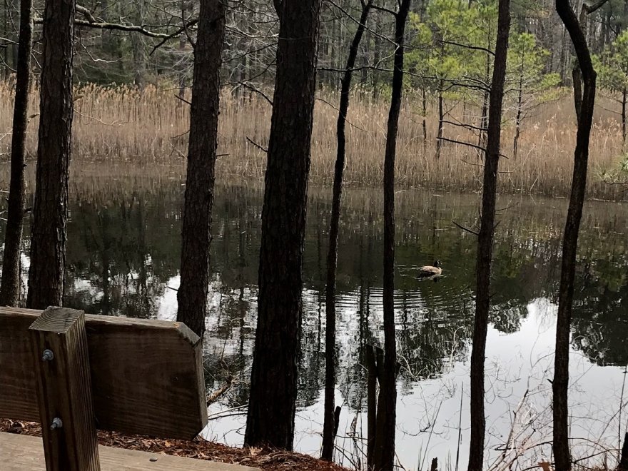 Holts Landing State Park