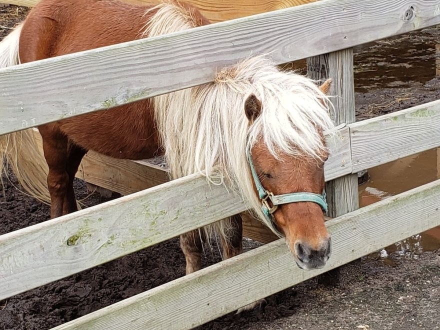 Red Barn Country Store