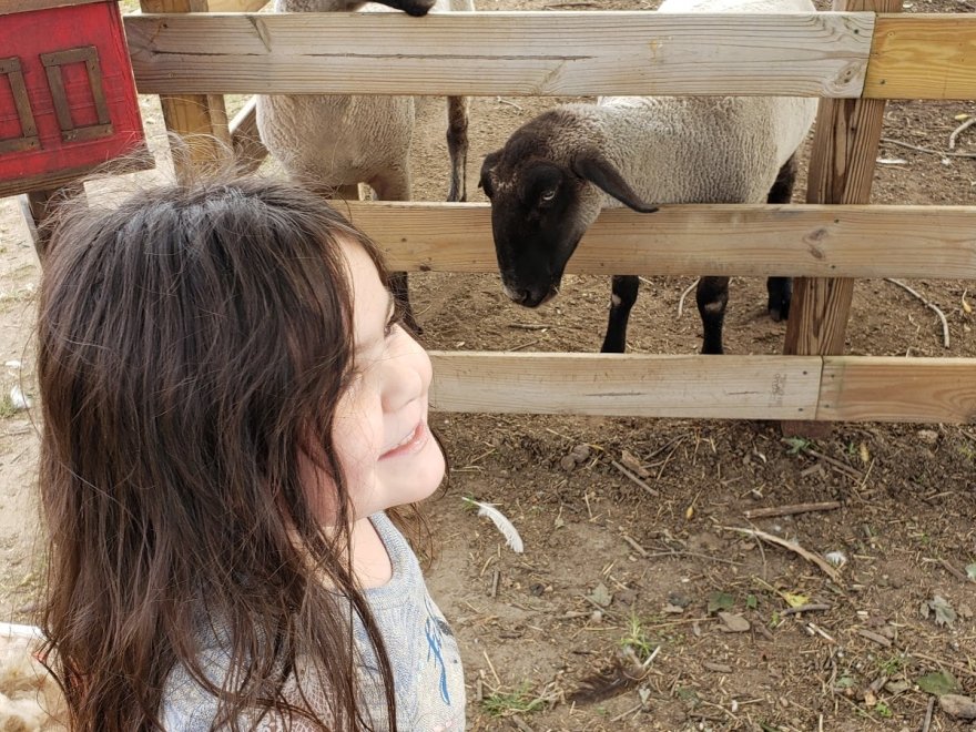Red Barn Country Store