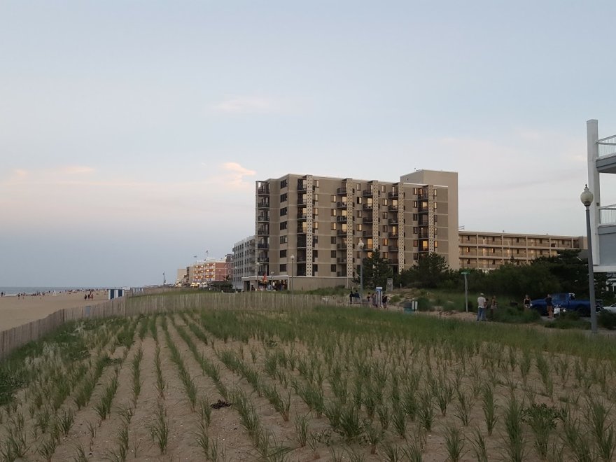Rehoboth Beach Bandstand