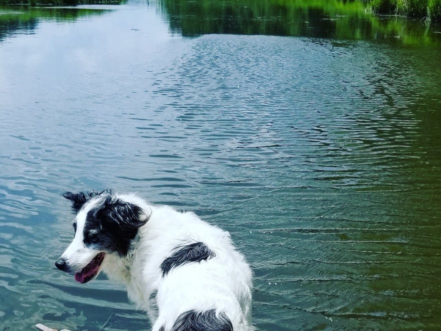 Lazy L At Willow Creek Bed & Breakfast