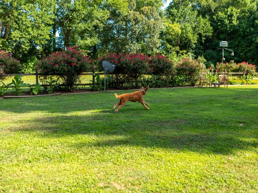 Lazy L At Willow Creek Bed & Breakfast