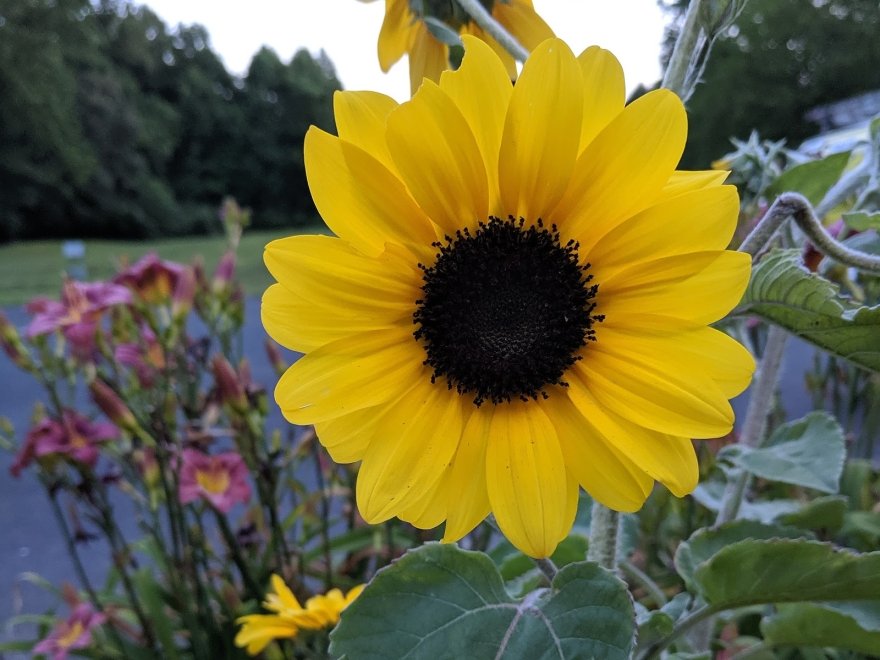 Lazy L At Willow Creek Bed & Breakfast