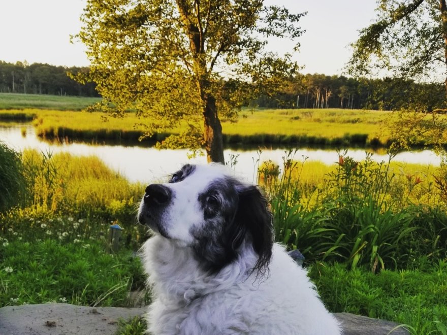 Lazy L At Willow Creek Bed & Breakfast