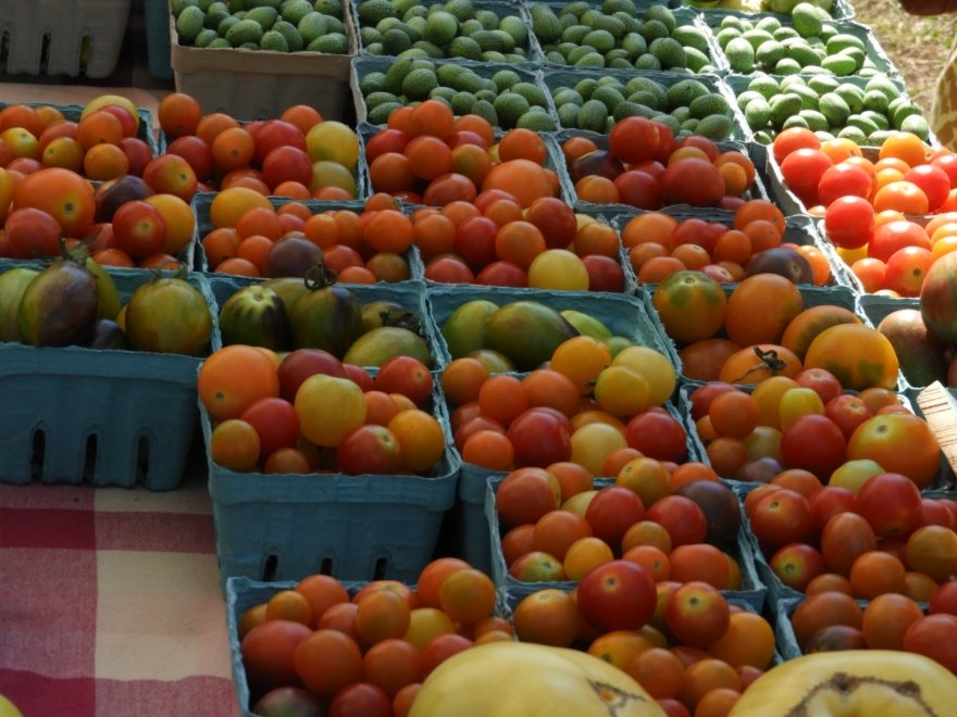 Historic Lewes Farmers Market