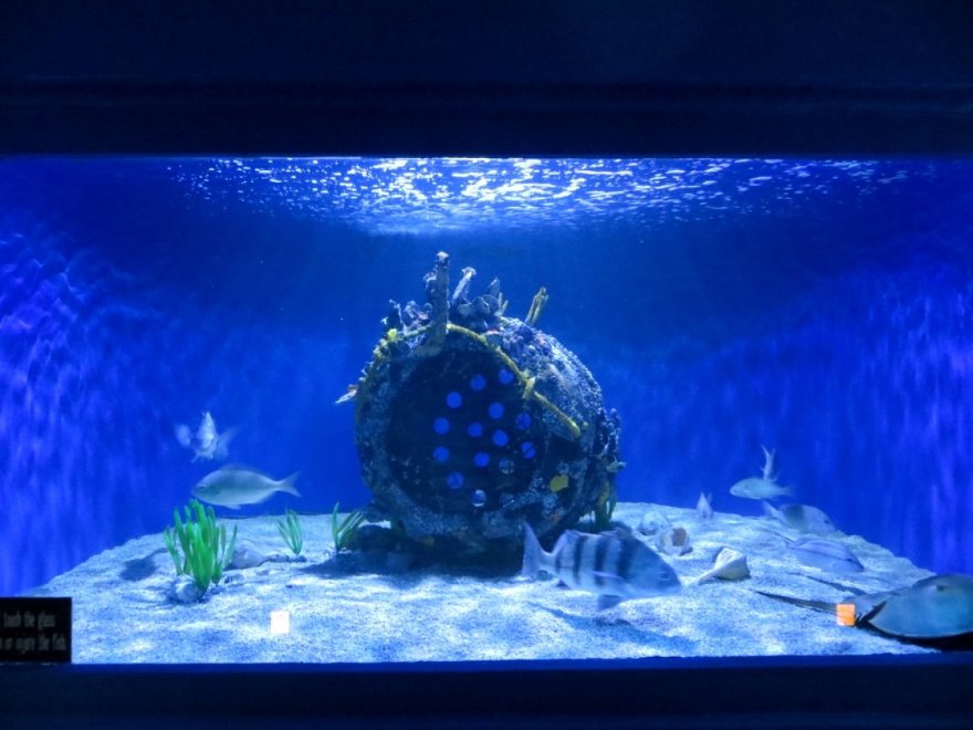 Seaside Nature Center