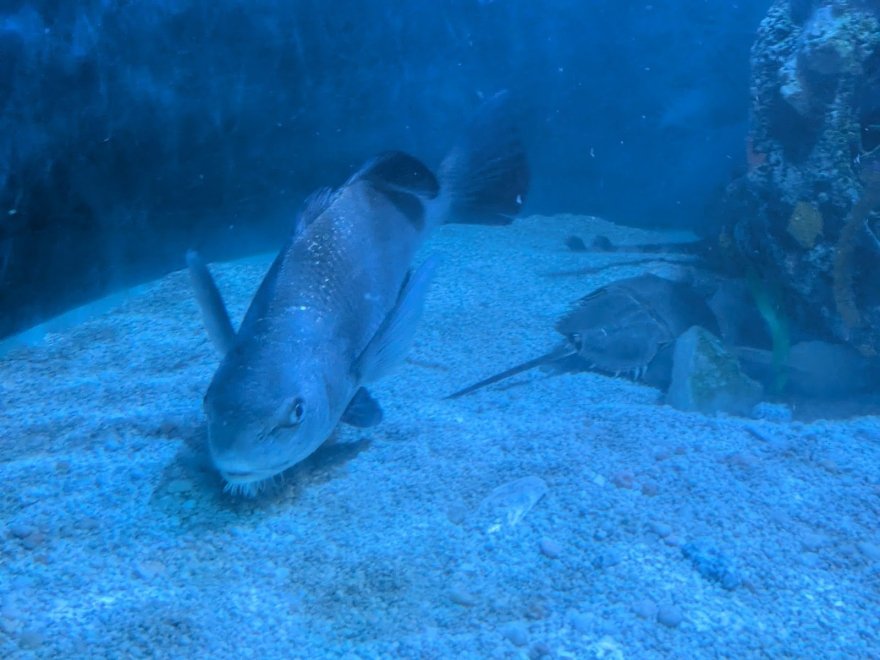 Seaside Nature Center