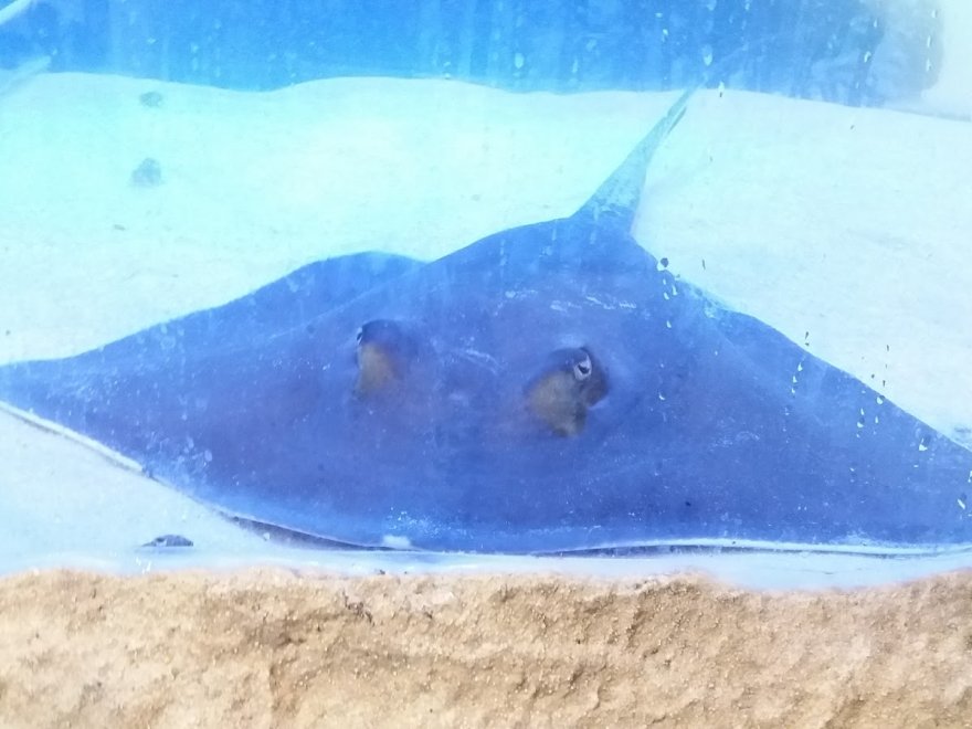 Seaside Nature Center