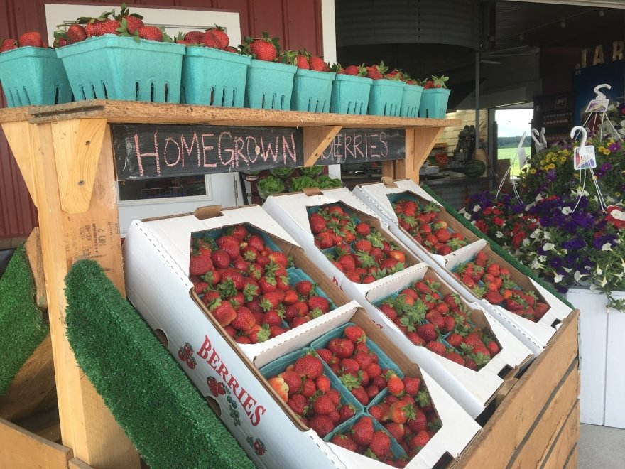 Evans Farms
