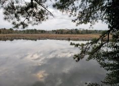 Smiths Landing